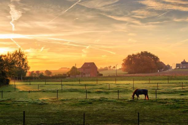 Monts Et Merveilles Godewaersvelde Dış mekan fotoğraf